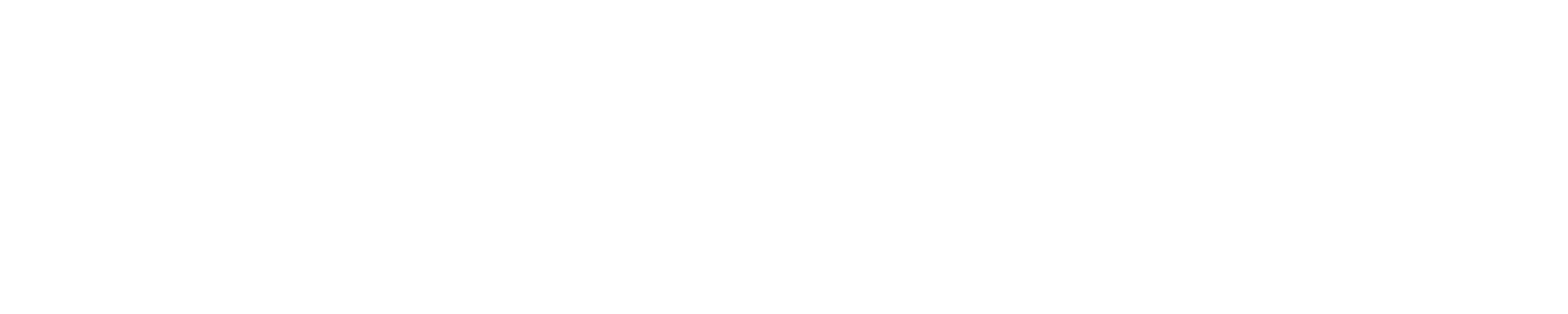 SolarWinds Logo