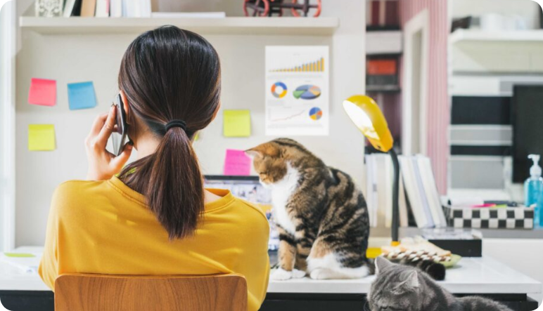 Flexible & casual environment