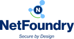 NetFoundry Logo